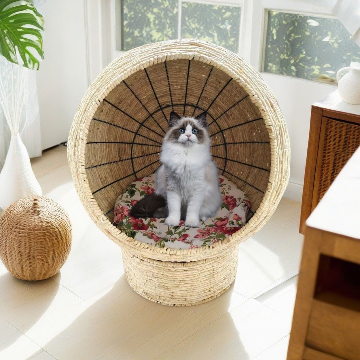 Pet Baskets